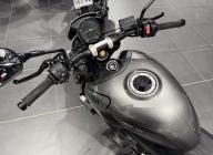 TRIUMPH TRIDENT 660 35 KW / Garantie 